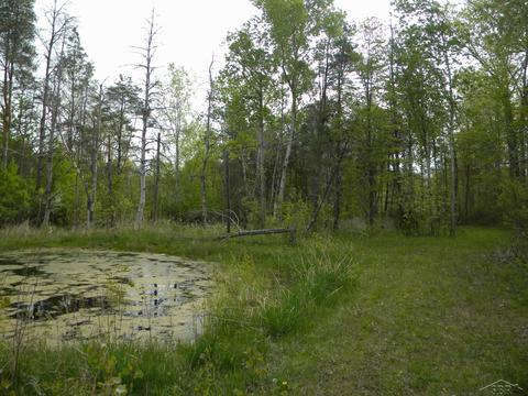 3612 Kaiser Rd, Pinconning, MI 48650 photo 26