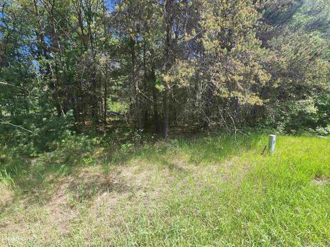 V/l Emery Road, Houghton Lake, MI 48629