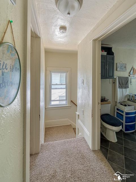 427 Riverview, Monroe, MI 48162 photo 14