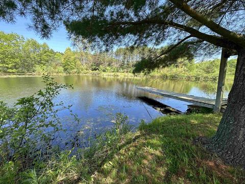 1455 Eldon Ct, Gladwin, MI 48624 photo 3