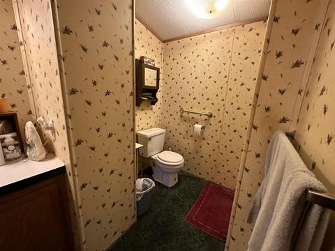 1455 Eldon Ct, Gladwin, MI 48624 photo 16
