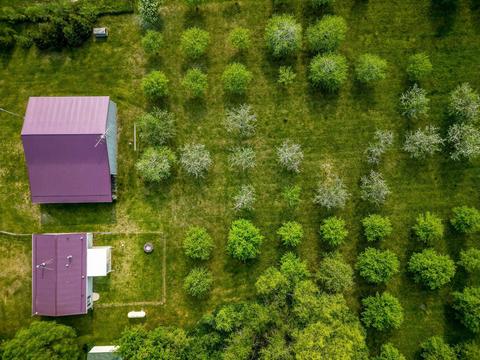 3212 E Wilson, Harrison, MI 48625 photo 46