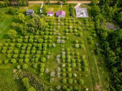 3212 E Wilson, Harrison, MI 48625 photo 3