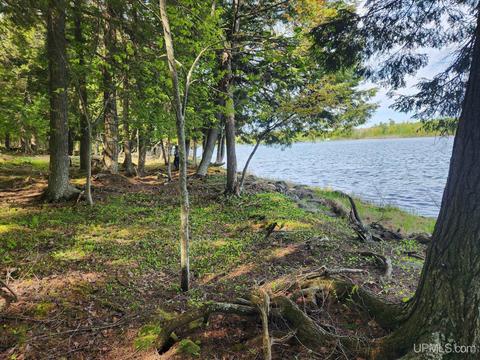 Lot 20 University, Iron River, MI 49935
