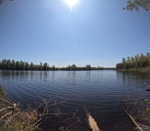 10 Acres Fence Lk, Michigamme, MI 49861
