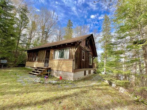 1300 S Arfelin Lk, Michigamme, MI 49861