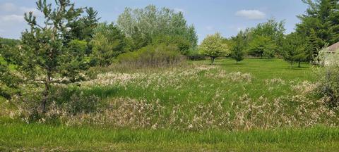 Lot 166 Winchester, Gladwin, MI 48624