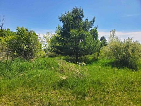 337 Bye 337 Bruntsfield Ln #337 BRSFIELD LANE, Gladwin, MI 48624
