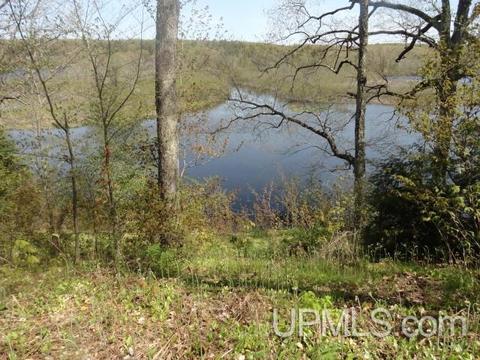 Tbd Autrain Forest, Au Train, MI 49806