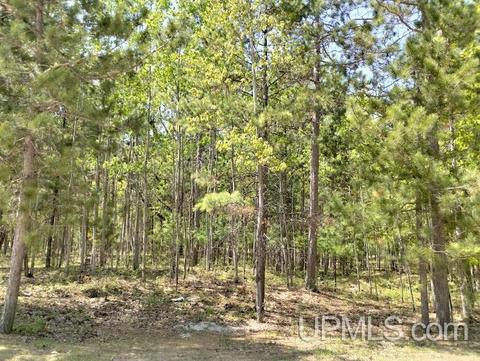 10488 Breezy R22, Rapid River, MI 49878