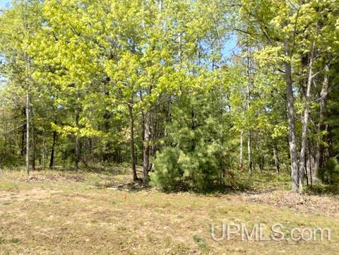 10471 Breezy R2, Rapid River, MI 49878