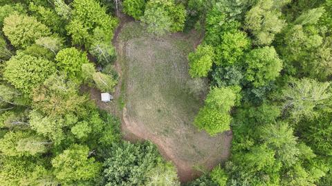 V/l Waltan Rd, Vassar, MI 48768