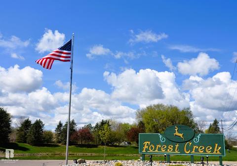 Forest Creek West, Davison, MI 48423 photo 71