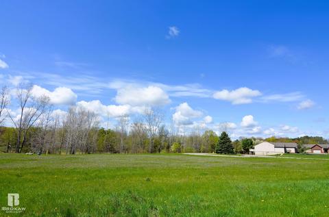 Forest Creek West, Davison, MI 48423 photo 54