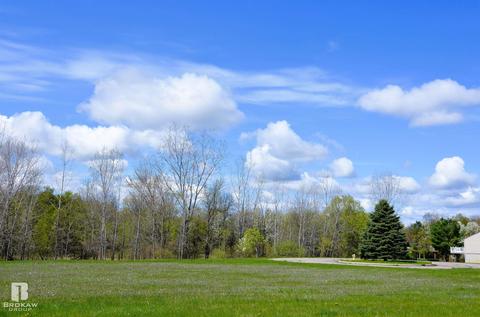 Forest Creek West, Davison, MI 48423 photo 53