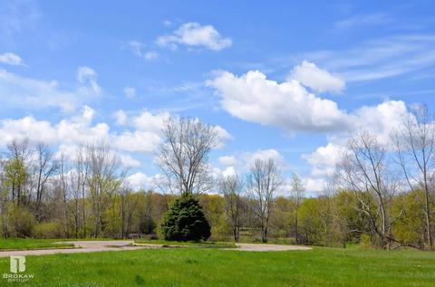 Forest Creek West, Davison, MI 48423 photo 63