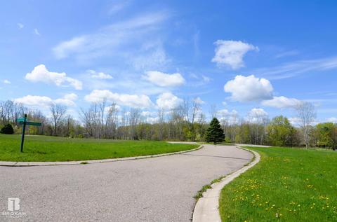 Forest Creek West, Davison, MI 48423 photo 42