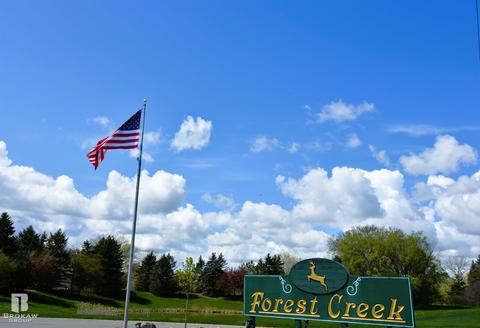 Forest Creek West, Davison, MI 48423 photo 72