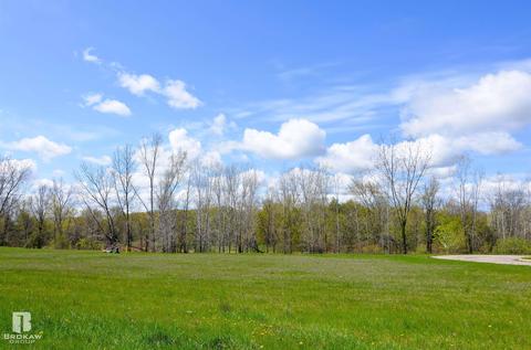 Forest Creek West, Davison, MI 48423 photo 56