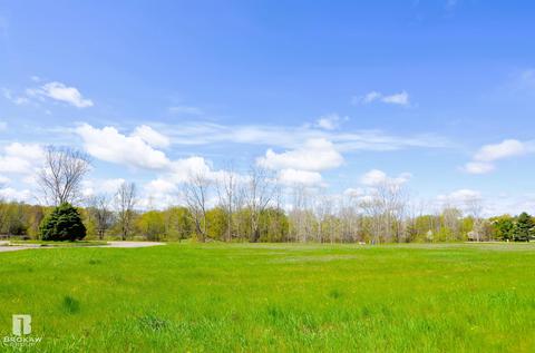 Forest Creek West, Davison, MI 48423 photo 22