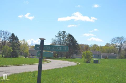 Forest Creek West, Davison, MI 48423 photo 3