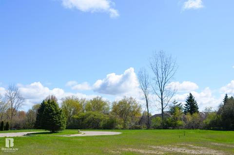 Forest Creek West, Davison, MI 48423 photo 43