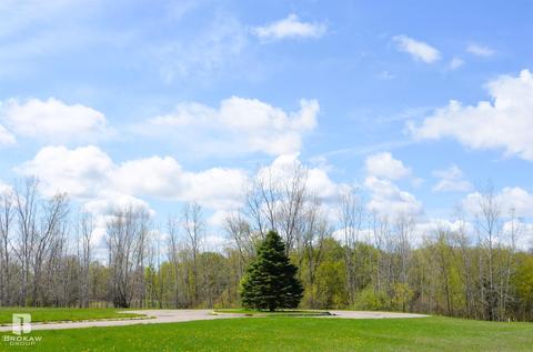 Forest Creek West, Davison, MI 48423 photo 61