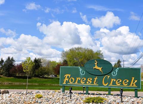 Forest Creek West, Davison, MI 48423 photo 2