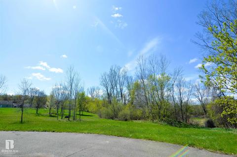 Forest Creek West, Davison, MI 48423 photo 64