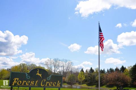 Forest Creek West, Davison, MI 48423 photo 76