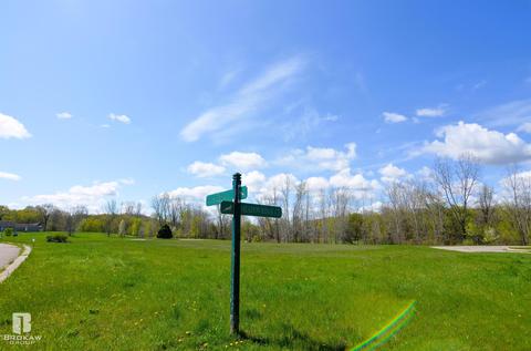 Forest Creek West, Davison, MI 48423 photo 48