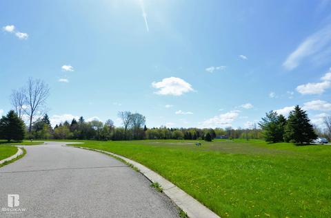 Forest Creek West, Davison, MI 48423 photo 60