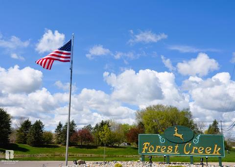 Forest Creek West, Davison, MI 48423