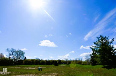 Forest Creek West, Davison, MI 48423 photo 45