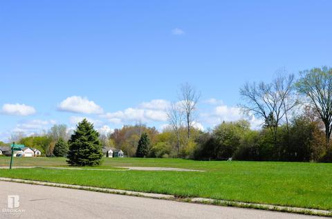 Forest Creek West, Davison, MI 48423 photo 66