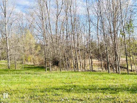 Forest Creek West, Davison, MI 48423 photo 20