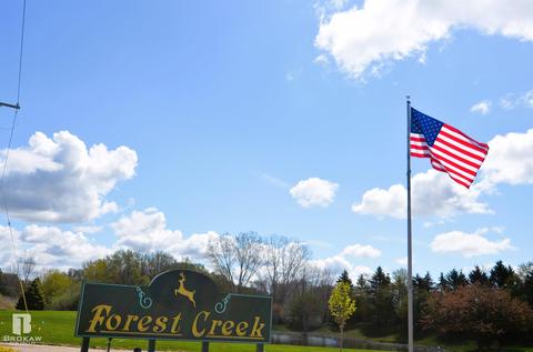 Forest Creek West, Davison, MI 48423 photo 74