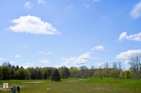 Forest Creek West, Davison, MI 48423 photo 46