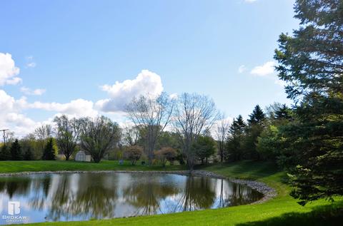 Forest Creek West, Davison, MI 48423 photo 6