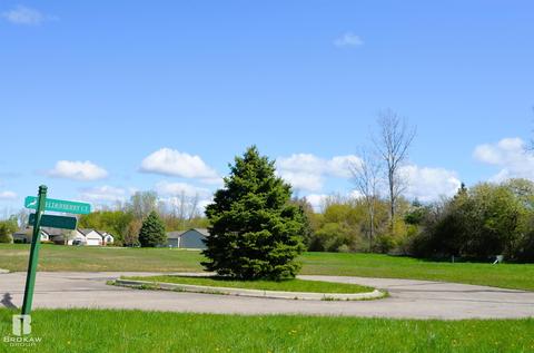 Forest Creek West, Davison, MI 48423 photo 67