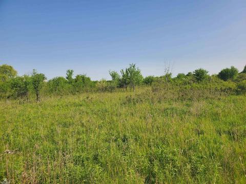Jeddo Rd Vl, Yale, MI 48097