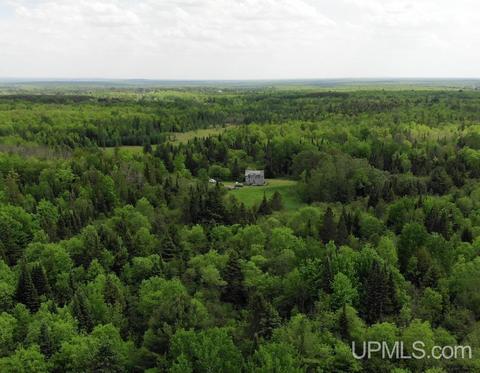 8963 Usitalo Rd, Nisula, MI 49952