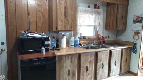 9582 Jeddo, Greenwood, MI 48006 photo 14