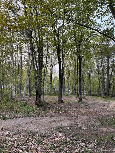 E9873 Kinston, Munising, MI 49862 photo 38
