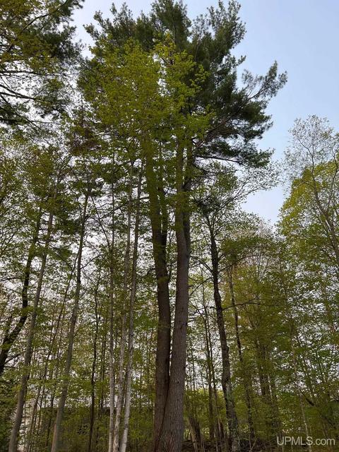 E9873 Kinston, Munising, MI 49862 photo 39
