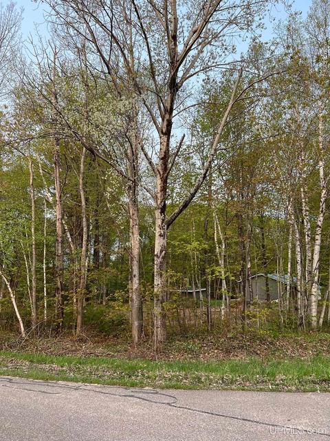 E9873 Kinston, Munising, MI 49862 photo 40