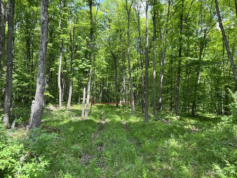 Tbd Rosetti, Iron River, MI 49935