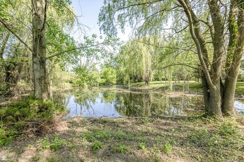 6302 Hewitt Rd, Grant, MI 48032 photo 41