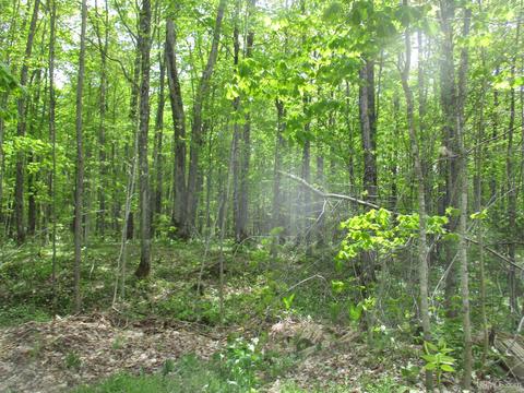 Tba Firesteel, Greenland, MI 49929