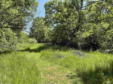 46675 Willis Rd, Belleville, MI 48111 photo 14